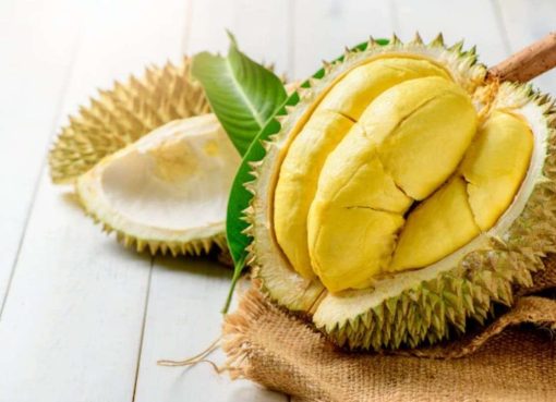 Durian Berlebih Menemukan Keseimbangan Antara Kenikmatan dan Kesehatan