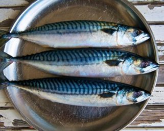 Mackerel Fish: A Nutritional Powerhouse for Heart Health