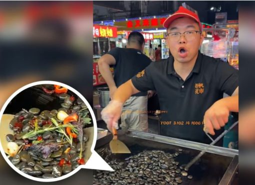 Tumis Batu: Perjalanan Kuliner China Dari Batu ke Piring