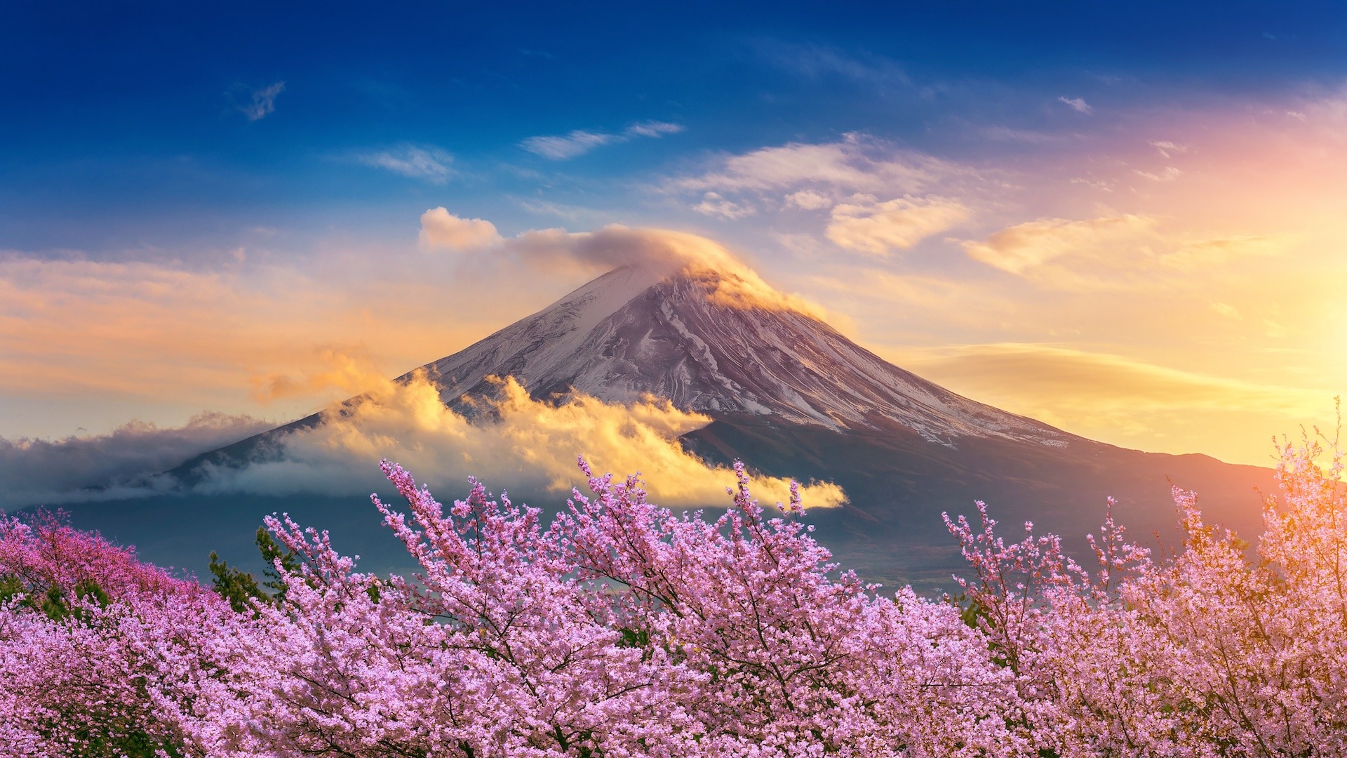 Gunung Fuji: Perjalanan Fotografi Menjelajahi Pemandangan yang Ikonik