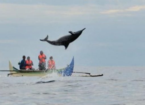 Teluk Kiluan: Surga Tersembunyi di Lampung yang Bikin Rindu Pulang Teluk Kiluan