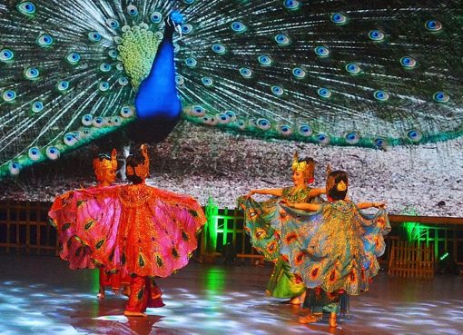 Tari Merak dalam Perspektif Seni dan Budaya: Mengapa Kita Harus Peduli? Tari Merak