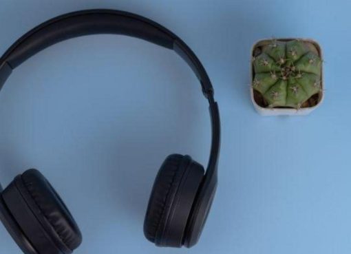 HOCO W21: Pengalaman Jujur Pakai headphone Keren yang Bikin Hidup Makin Simpel