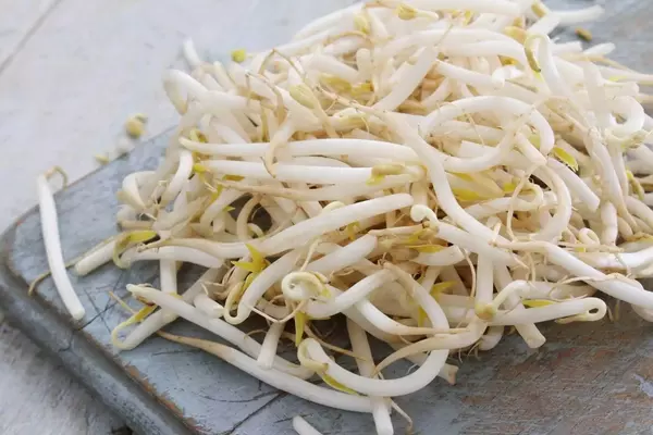 4 Manfaat Tauge: Superfood yang Layak Anda Coba 3 4 Manfaat Tauge