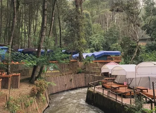 Pesona Hutan Pinus Rahong: Keindahan Alam yang Menyegarkan Jiwa Pesona Hutan Pinus