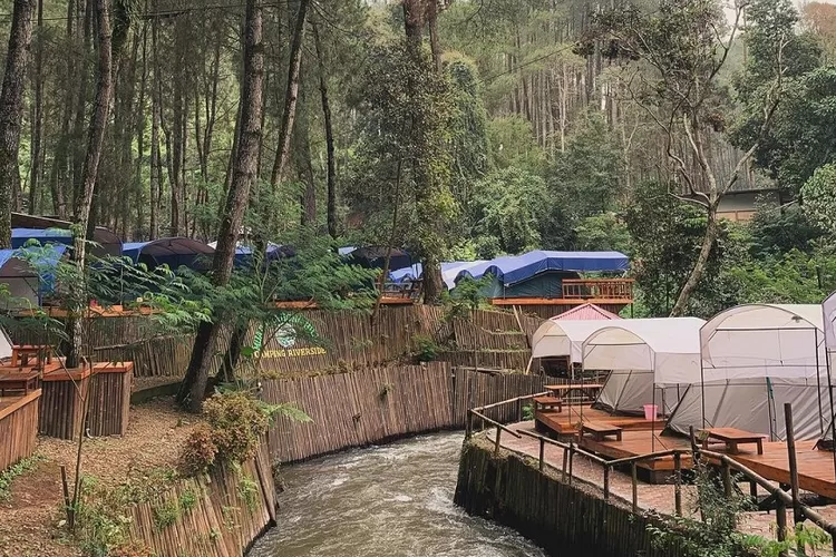 Pesona Hutan Pinus Rahong: Keindahan Alam yang Menyegarkan Jiwa 1 Pesona Hutan Pinus