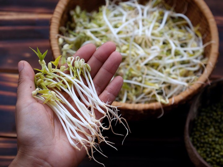 4 Manfaat Tauge: Superfood yang Layak Anda Coba 1 4 Manfaat Tauge