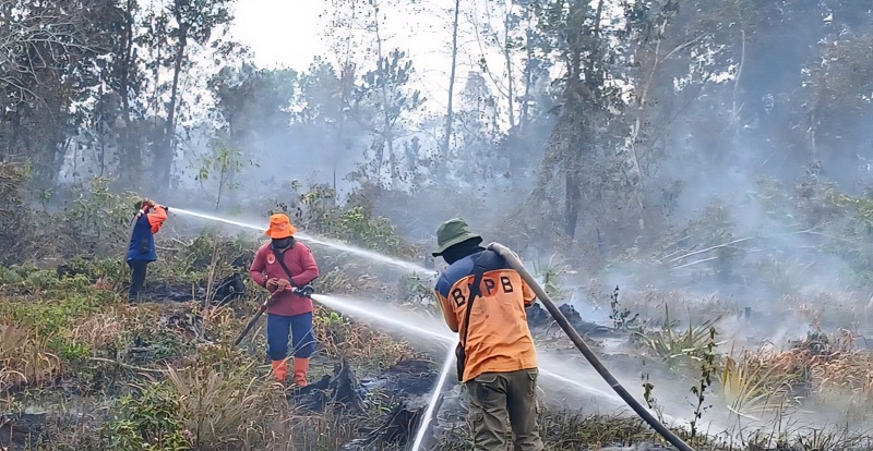 Karhutla Mengganas di Bengkalis Riau