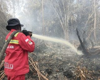 Karhutla Mengganas di Bengkalis Riau: Ancaman Asap yang Menyelimuti Negeri