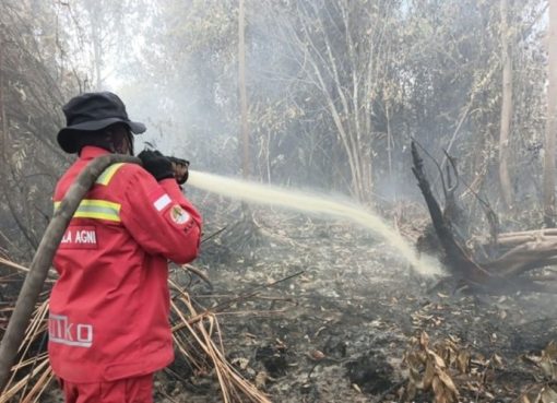Karhutla Mengganas di Bengkalis Riau