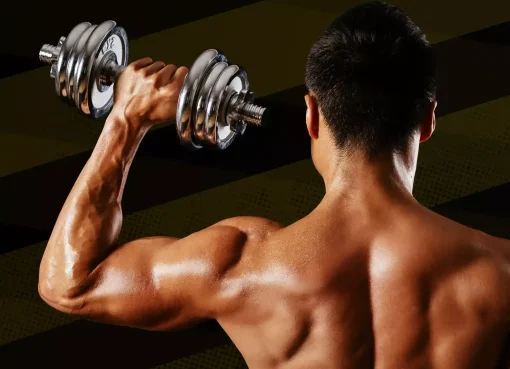 Latihan Angkat Beban