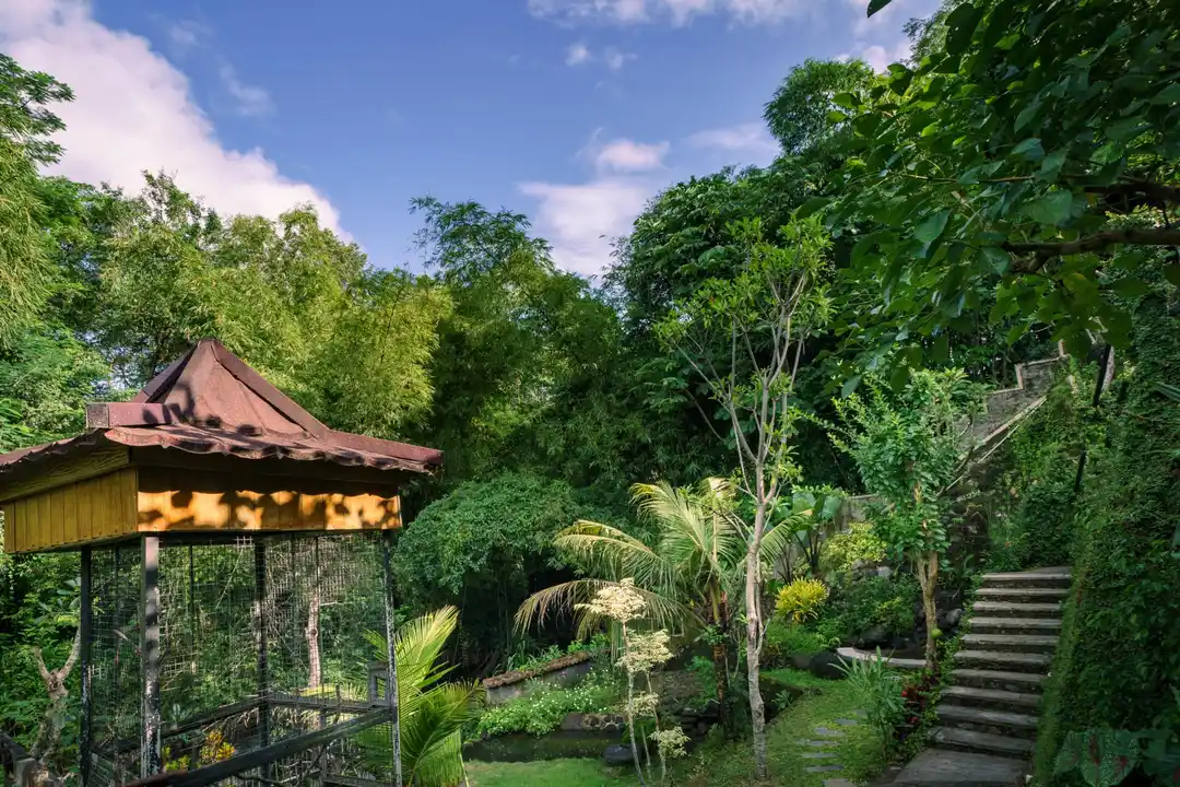 Estetika Modern yang Menyatu dengan Alam Yogyakarta