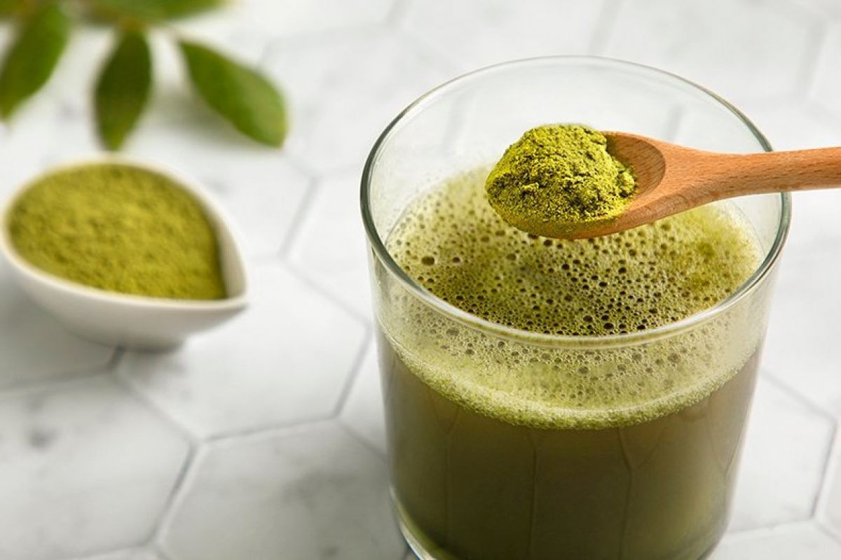 Smoothie Kelor