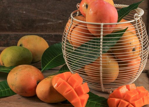Mangga Gedong Gincu Pesona Rasa dan Warna yang Sulit Dilupakan