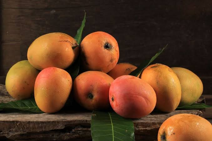 Mangga Gedong Gincu